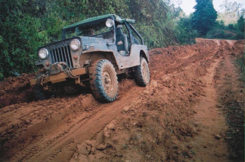 post-218873-0-69253100-1431512029_thumb.