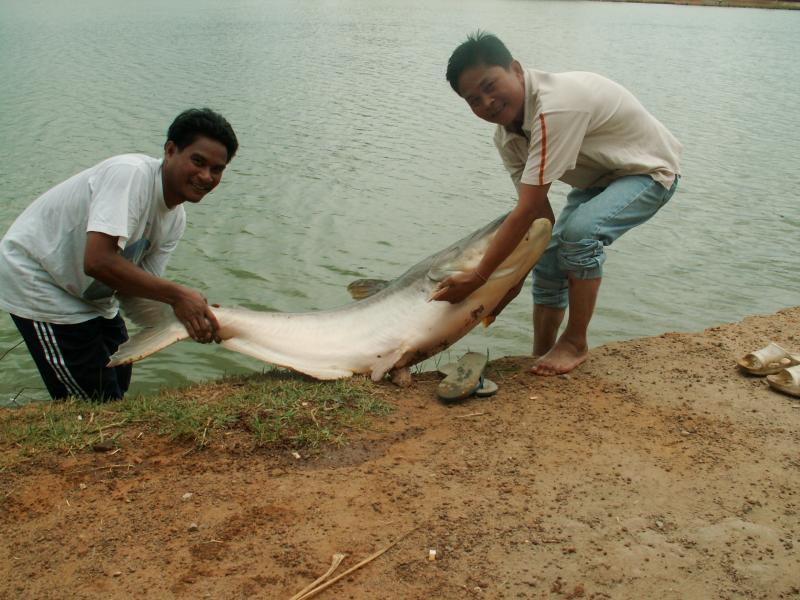 post-220724-0-54829700-1431321546_thumb.