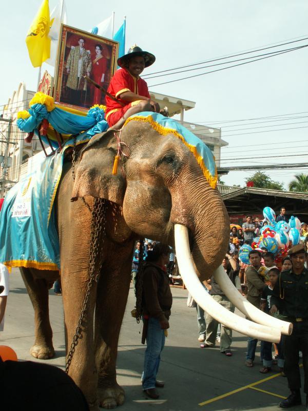 post-220724-0-67420600-1431322272_thumb.