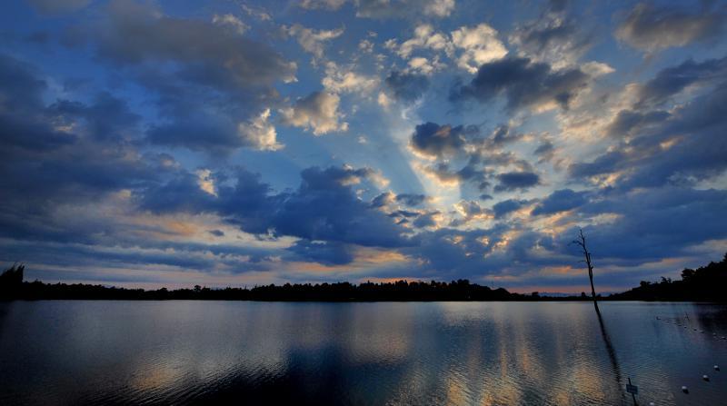 post-227761-0-74262400-1431394453_thumb.