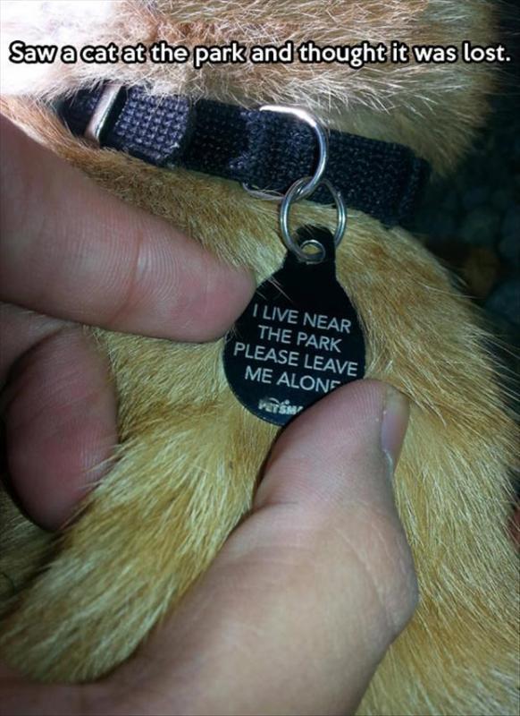 post-22920-0-32637600-1431123154_thumb.j