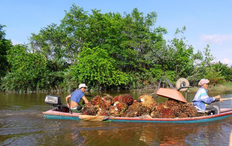 post-231841-0-00278200-1432734792_thumb.