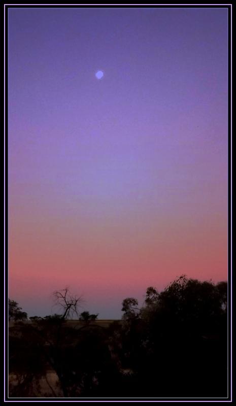 post-231841-0-08264100-1430659374_thumb.