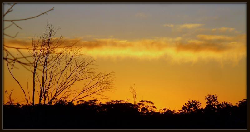 post-231841-0-16225800-1432638105_thumb.