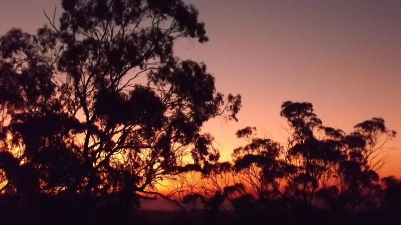 post-231841-0-35129200-1431170463_thumb.