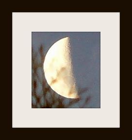 post-231841-0-44443100-1432637224_thumb.