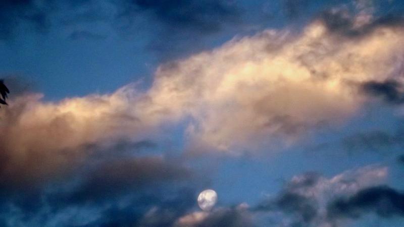 post-231841-0-59341000-1430480206_thumb.