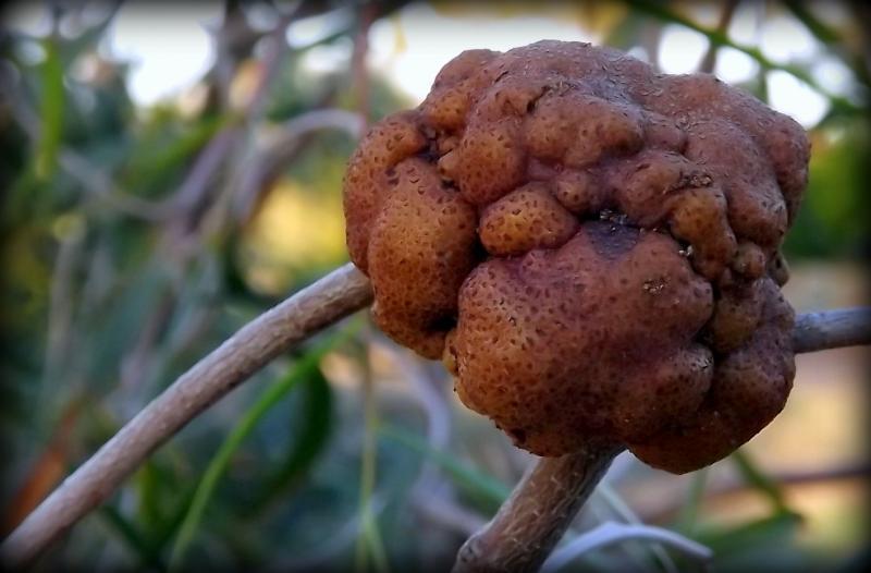 post-231841-0-62975200-1430660572_thumb.