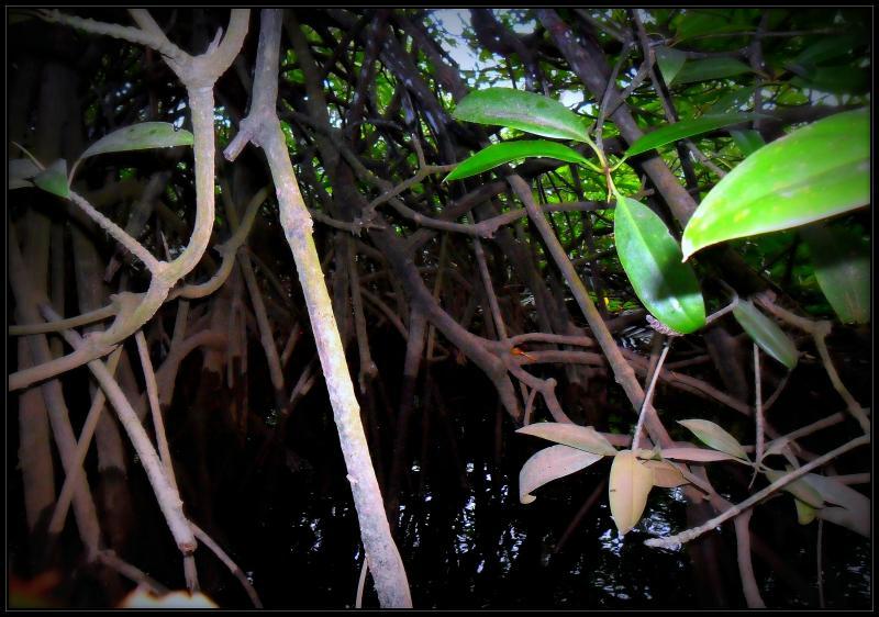 post-231841-0-94789700-1432733767_thumb.