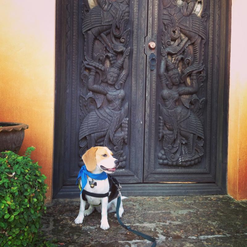 post-237692-0-05572500-1431003903_thumb.