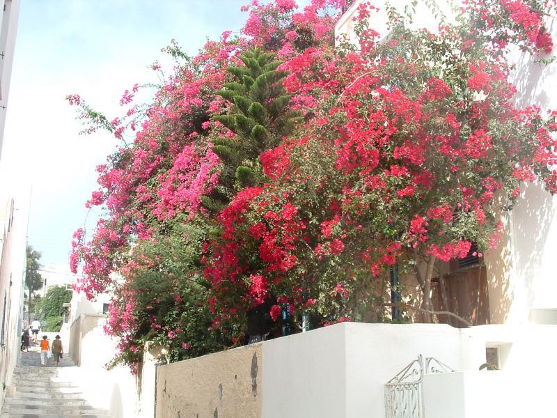 post-237730-0-00438200-1432706404_thumb.