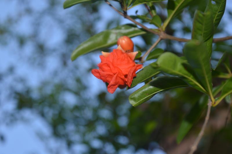 post-237730-0-00938100-1433068299_thumb.