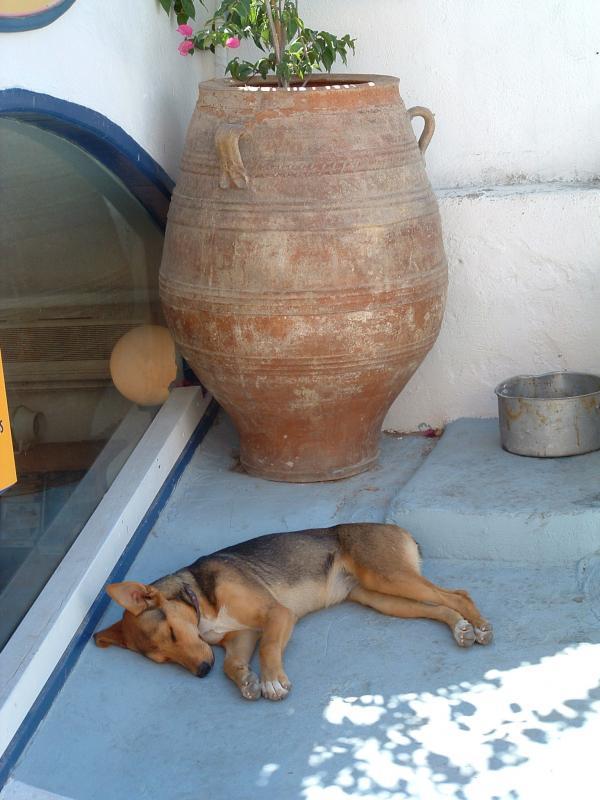 post-237730-0-04843500-1431942046_thumb.