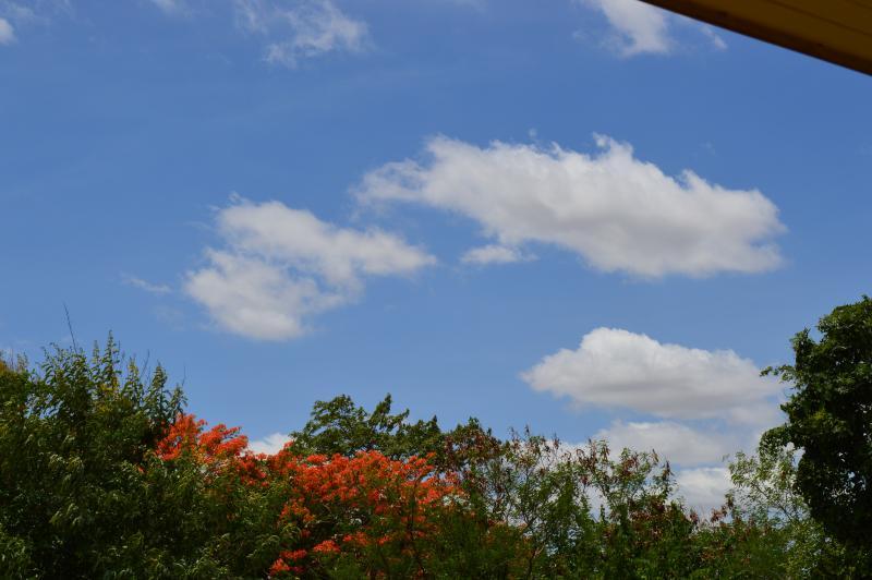 post-237730-0-08259300-1432272303_thumb.