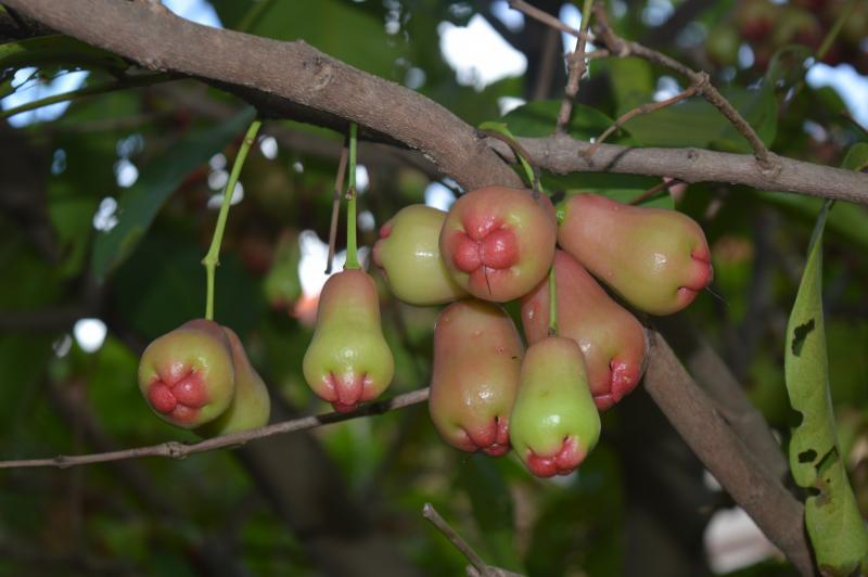 post-237730-0-15062200-1433067159_thumb.