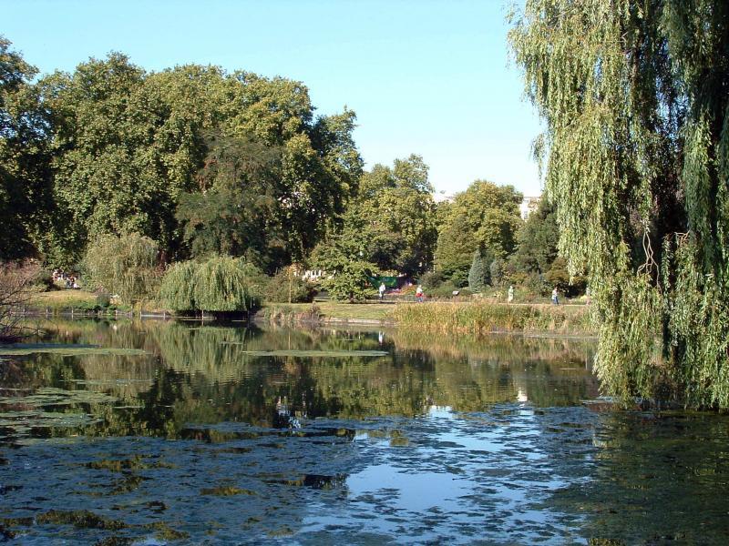 post-237730-0-16602600-1432623059_thumb.