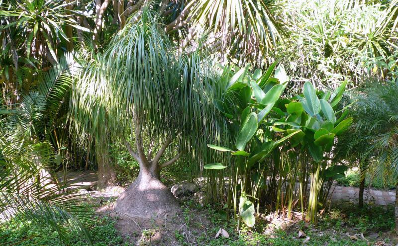 post-237730-0-16609000-1432624247_thumb.