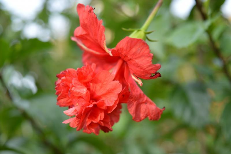 post-237730-0-21724000-1432554348_thumb.