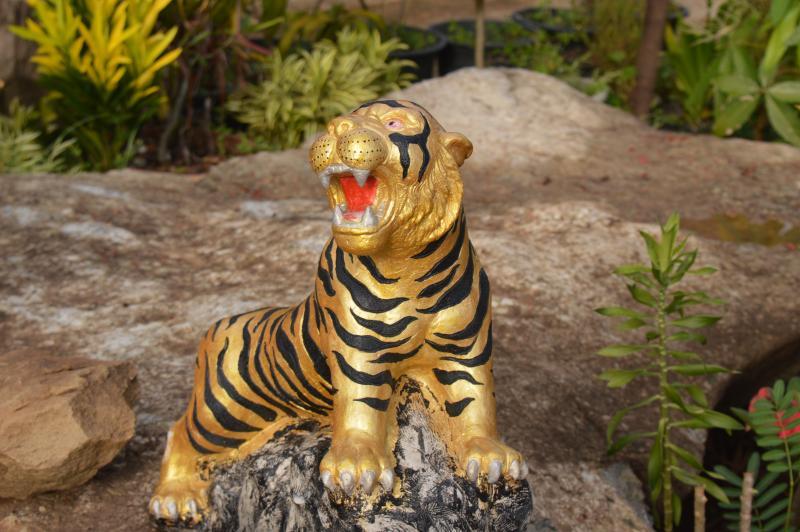 post-237730-0-24029300-1432563520_thumb.