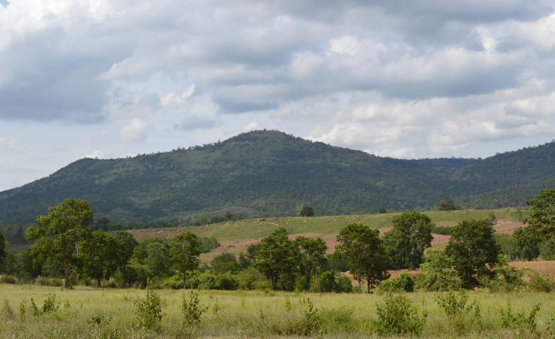 post-237730-0-24902400-1432890501_thumb.