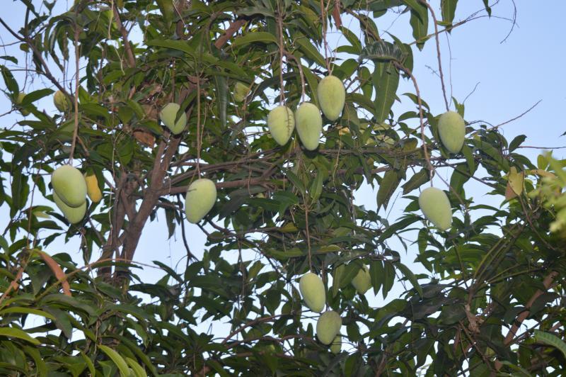 post-237730-0-26132100-1433067871_thumb.