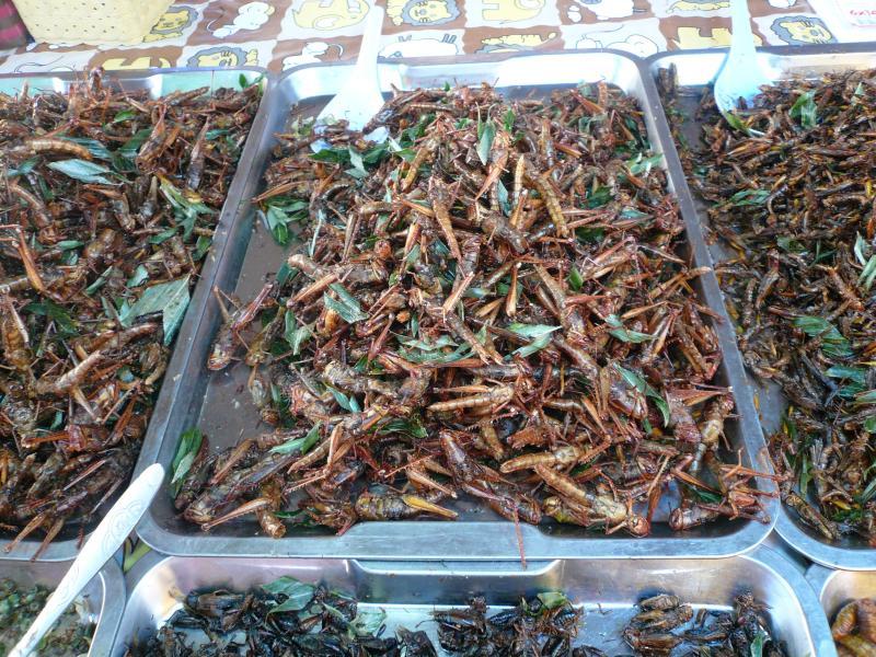 post-237730-0-34379900-1431347540_thumb.