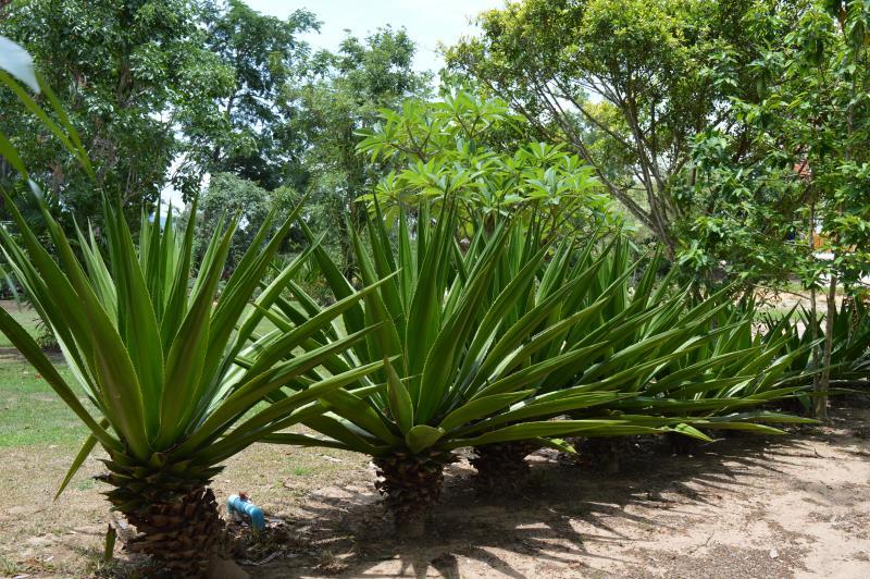 post-237730-0-34865200-1432891972_thumb.