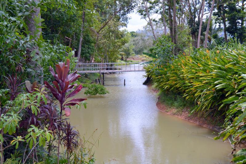 post-237730-0-35216100-1432700358_thumb.