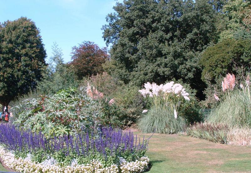 post-237730-0-37171000-1432622938_thumb.