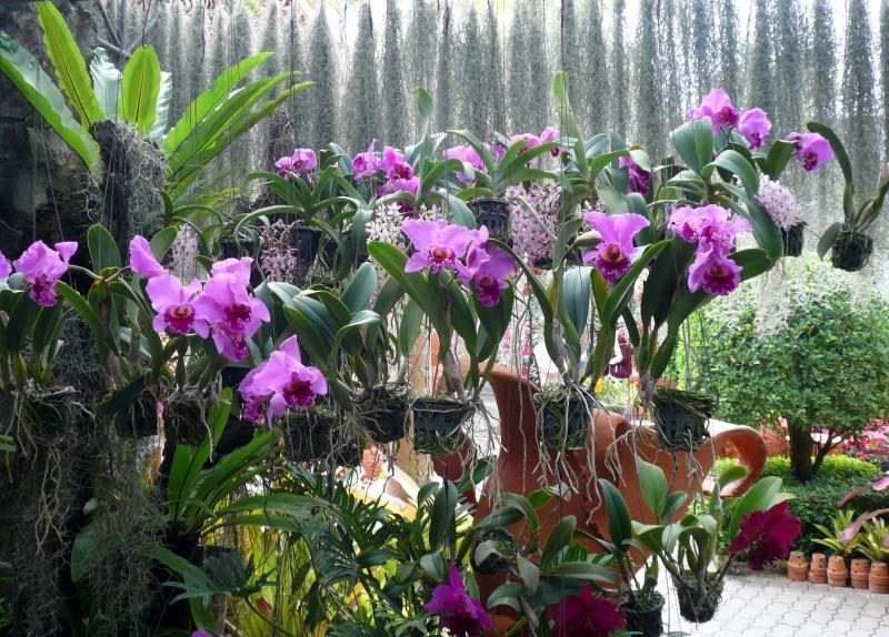 post-237730-0-38973700-1432186745_thumb.