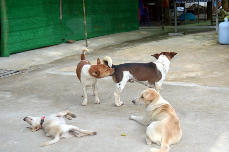 post-237730-0-40927700-1432465850_thumb.