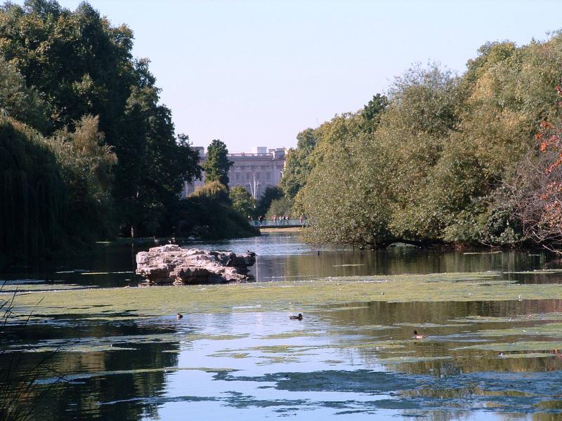 post-237730-0-41943100-1432622903_thumb.