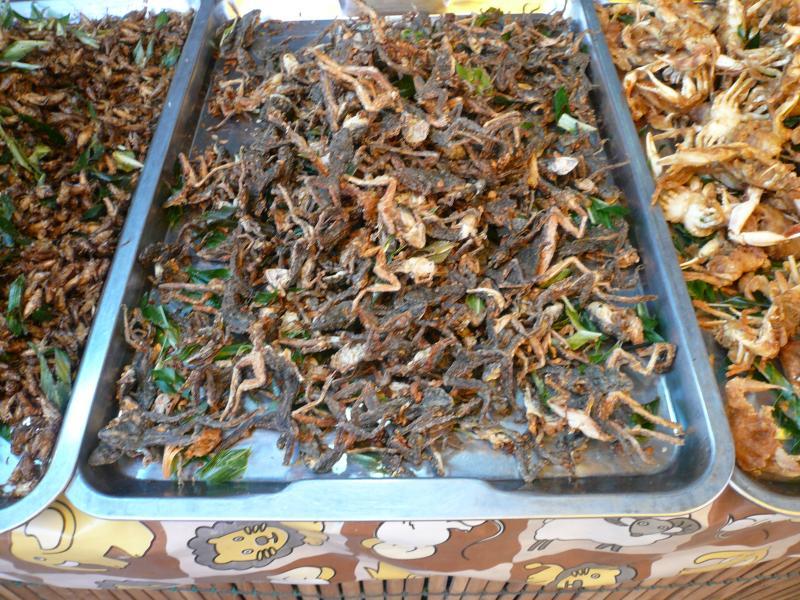 post-237730-0-43583500-1431347702_thumb.