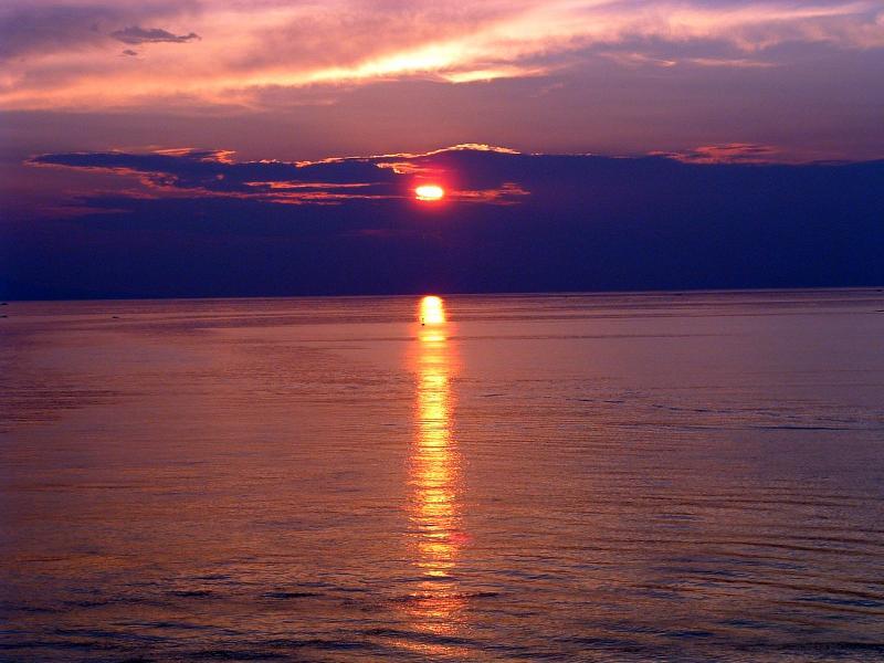 post-237730-0-43625700-1431663116_thumb.