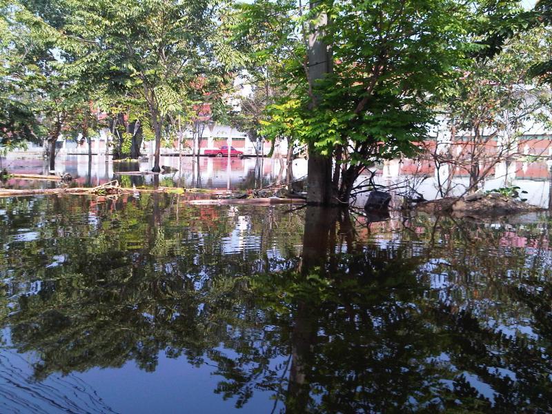 post-237730-0-45860900-1431261292_thumb.