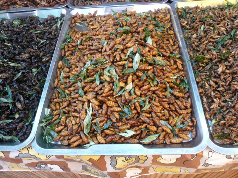 post-237730-0-47032700-1431347367_thumb.