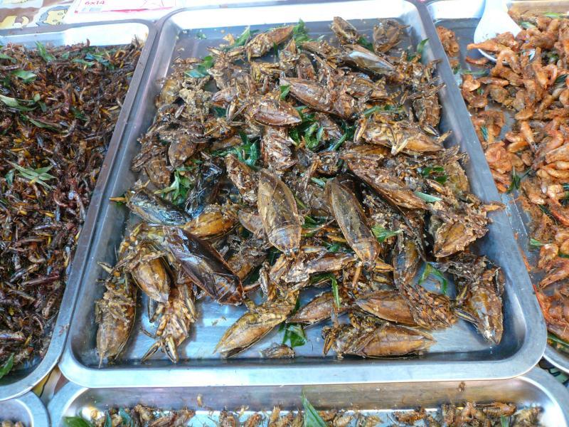 post-237730-0-48657700-1431347620_thumb.