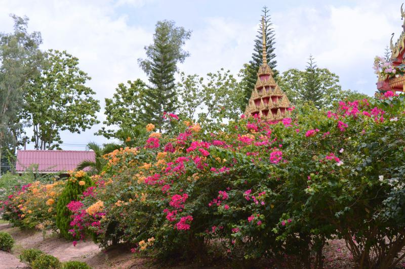 post-237730-0-52903900-1432701928_thumb.