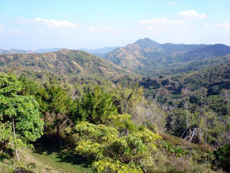 post-237730-0-56727400-1432623820_thumb.