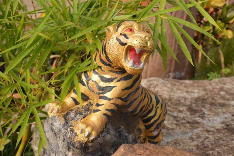 post-237730-0-58346900-1432563357_thumb.