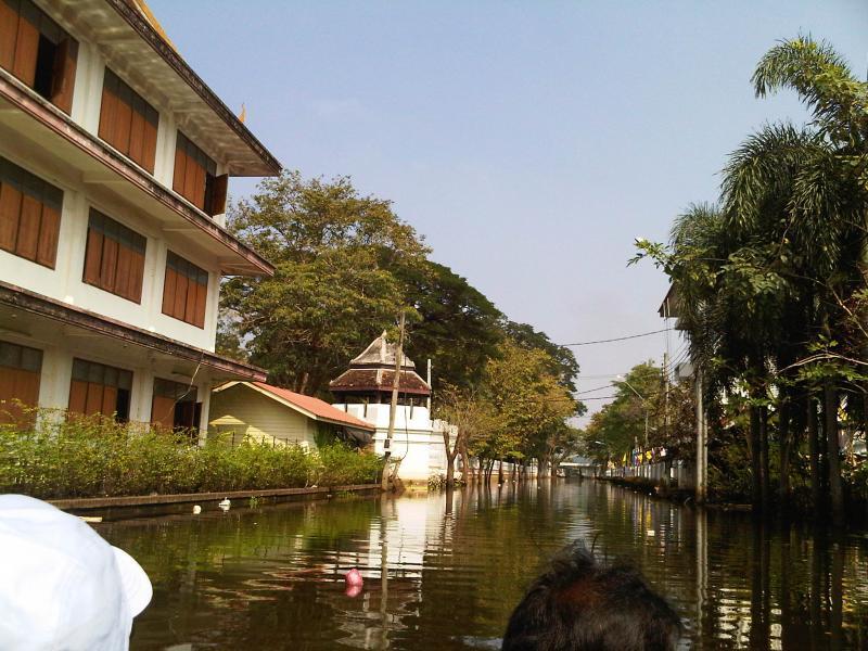 post-237730-0-62070700-1431261318_thumb.