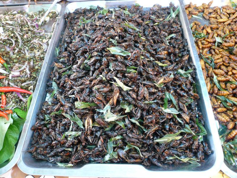 post-237730-0-69576000-1431347452_thumb.