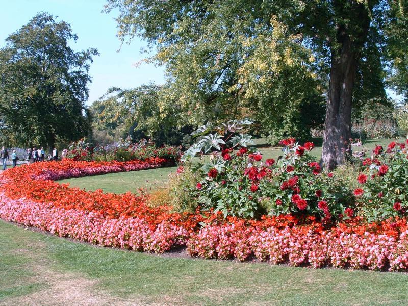 post-237730-0-69584600-1432622962_thumb.