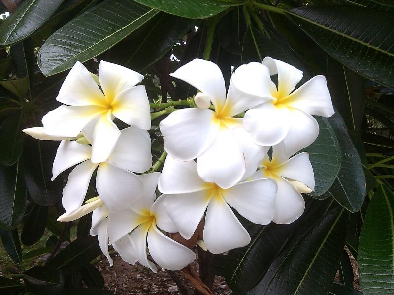 post-237730-0-74966700-1431602204_thumb.