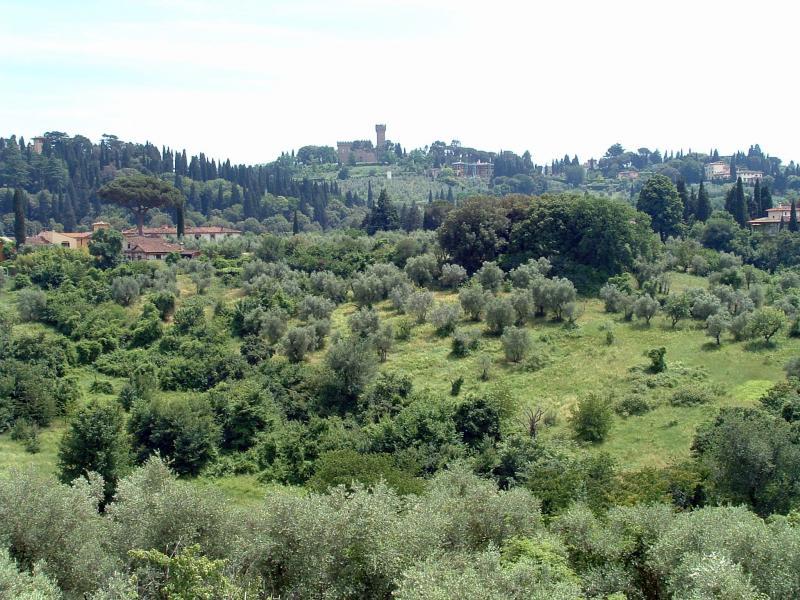 post-237730-0-77239600-1431932094_thumb.