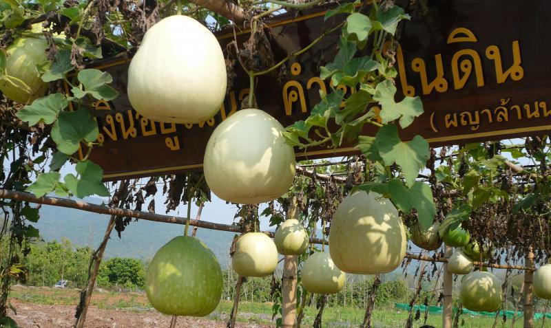 post-237730-0-78318700-1433062207_thumb.