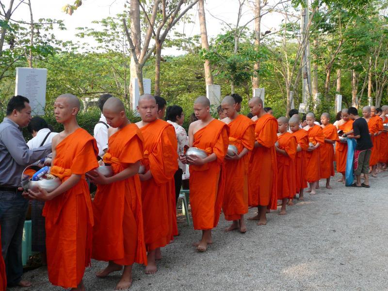 post-237730-0-88316400-1431258890_thumb.