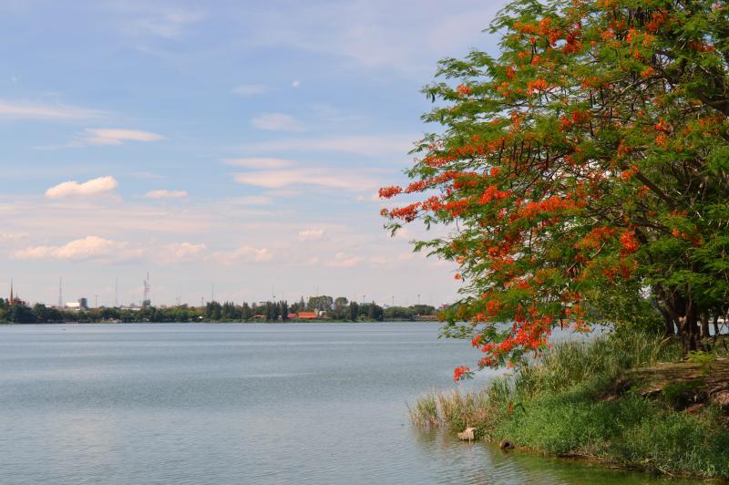 post-237730-0-94228900-1432266812_thumb.