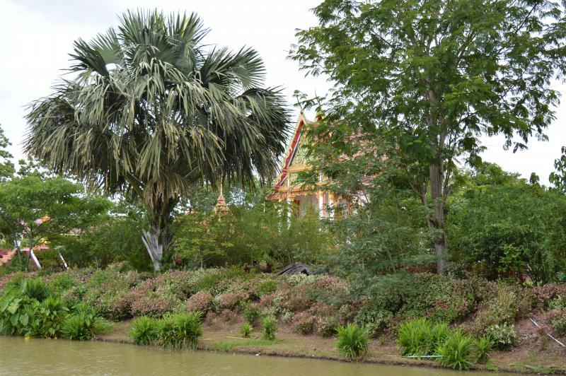 post-237730-0-96540400-1432700778_thumb.