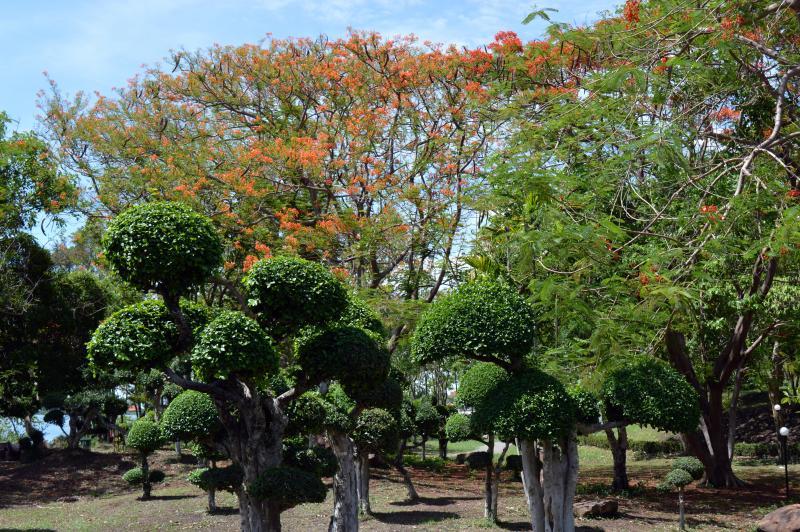 post-237730-0-97753700-1432267164_thumb.